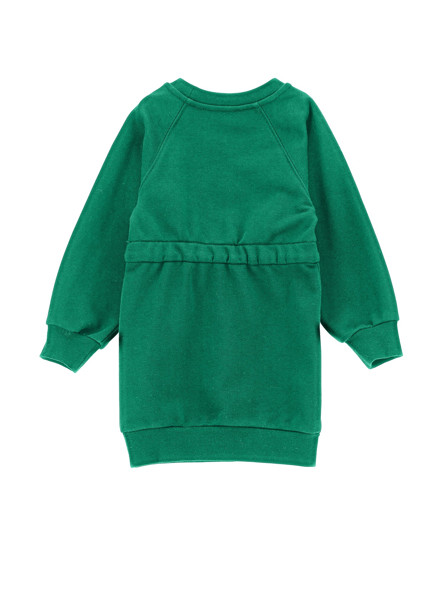 Girls | Daffy Duck Sweatshirt Dress | Vibrant Green