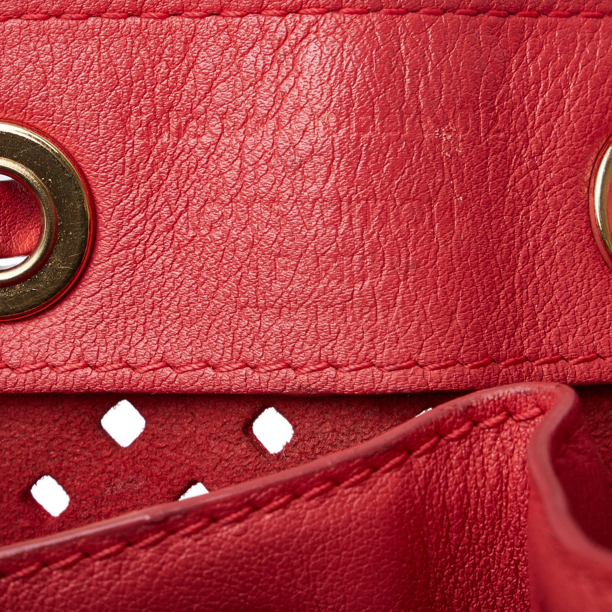 Louis Vuitton | Pre-Owned x Sofia Coppola Flore Perforated Noe | Red