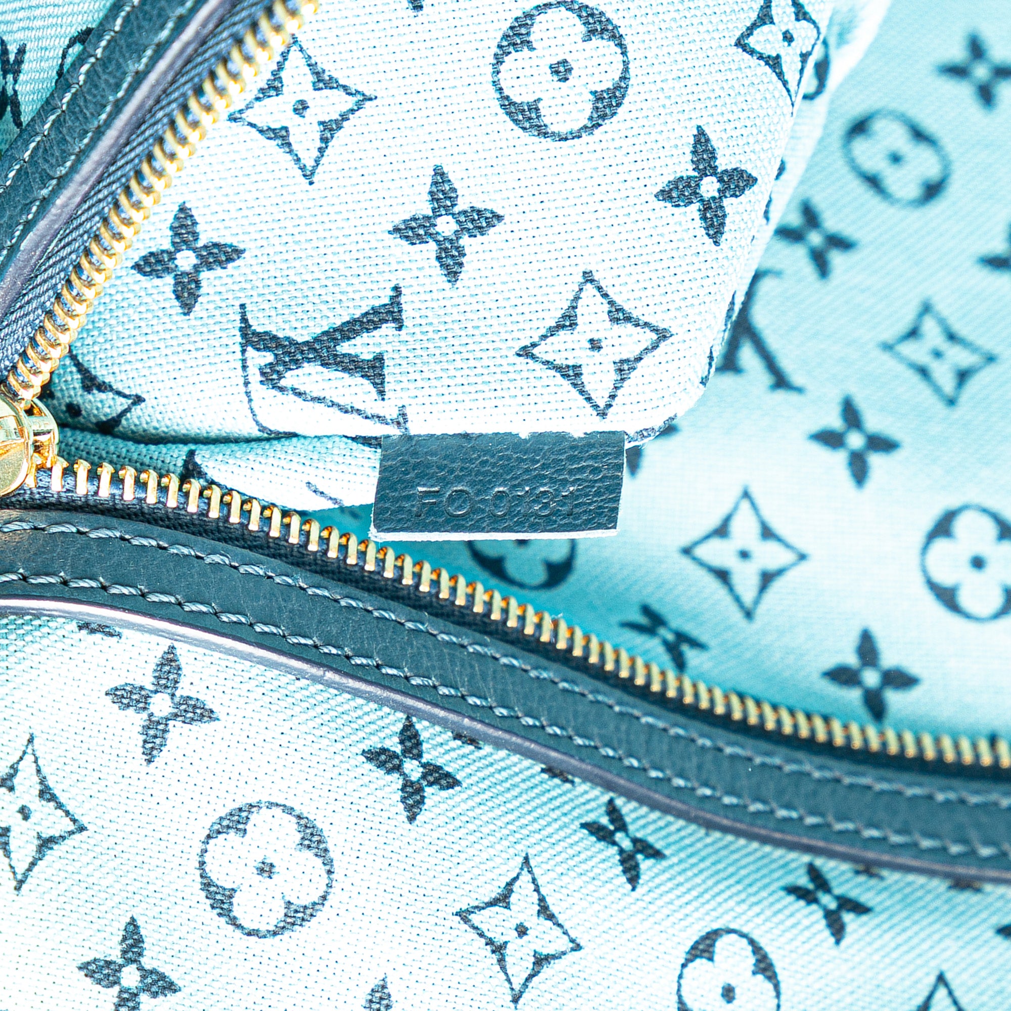 Louis Vuitton | Pre-Owned Ailleurs Cabas Promenade GM | Blue Multi/Multi