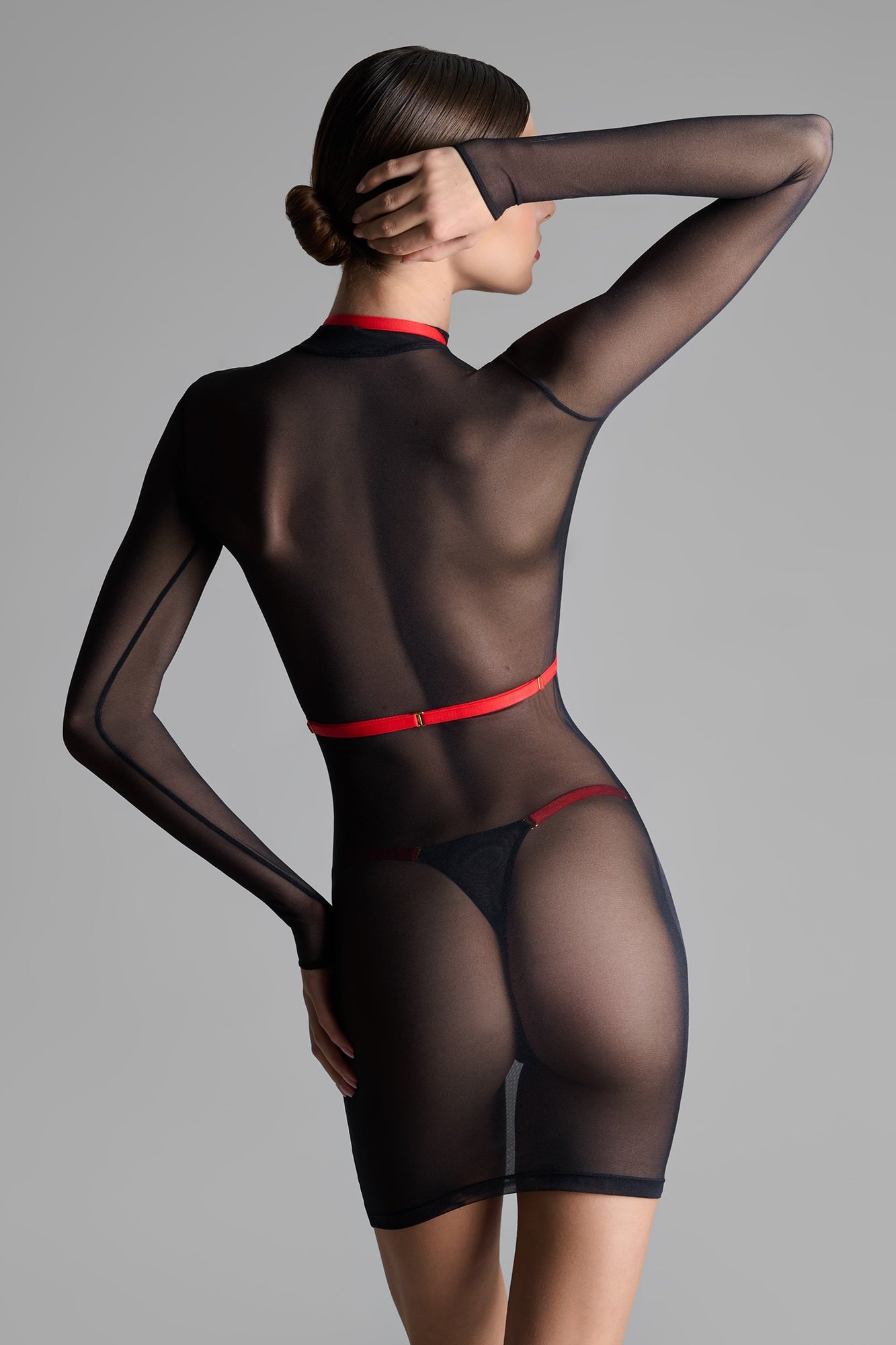 Harness - Signature | Black