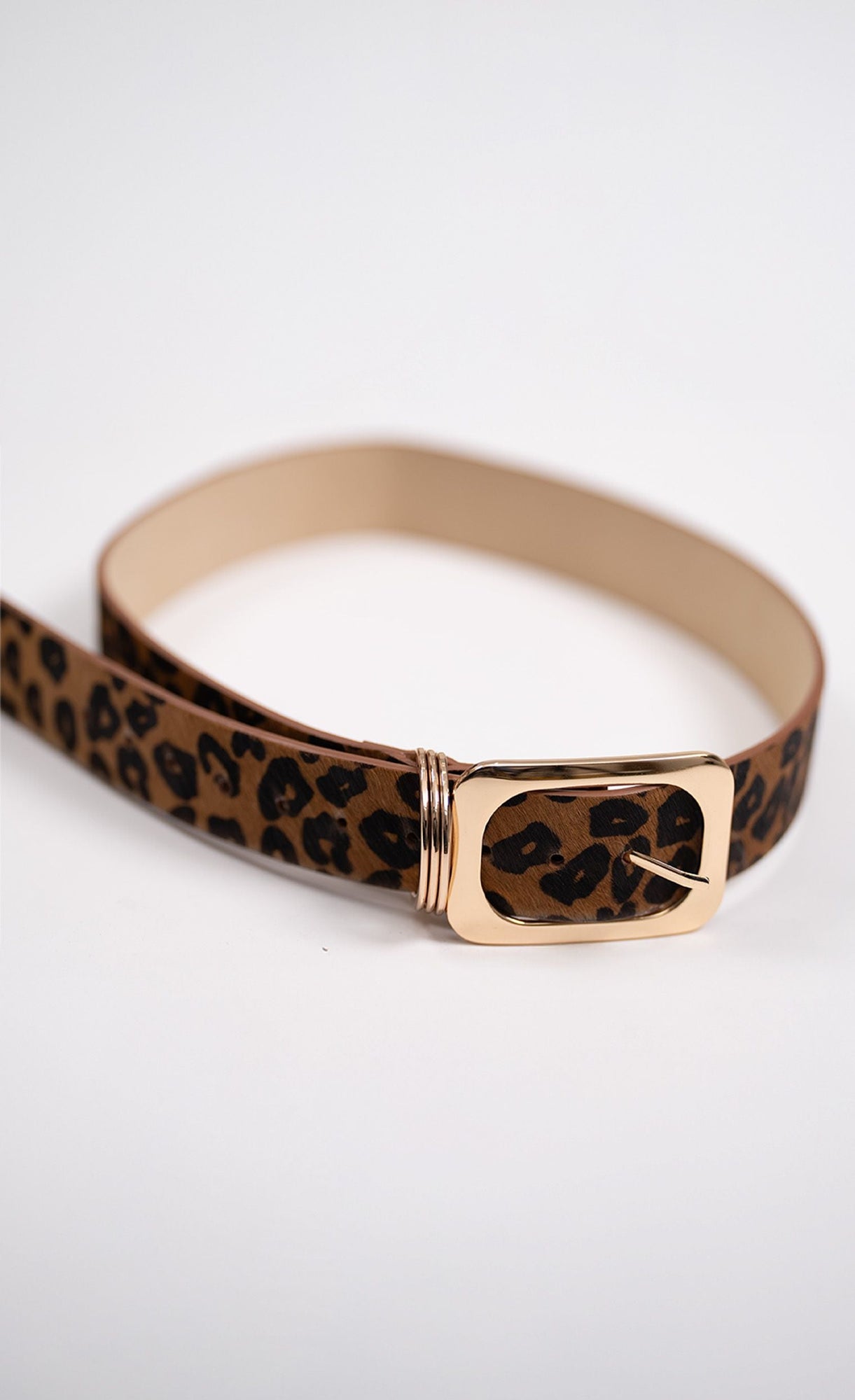 Vince Belt | Cheetah