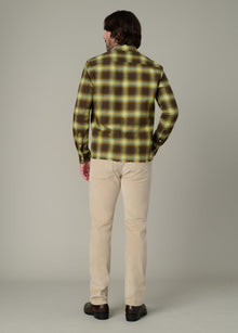 BEECH PLAID