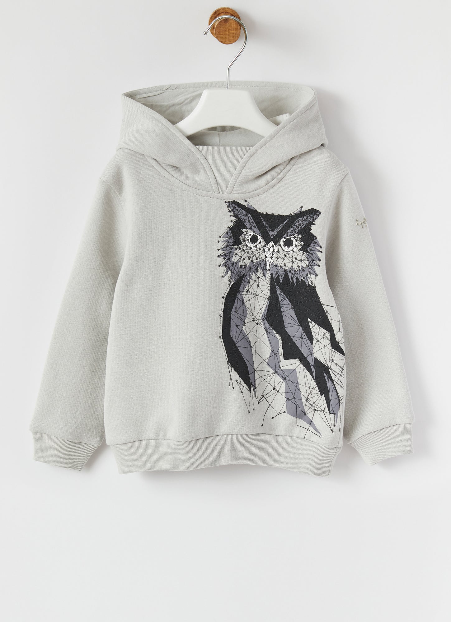 Sweatshirt with Hood And Gufo Print | Abete Argenteo/Corteccia