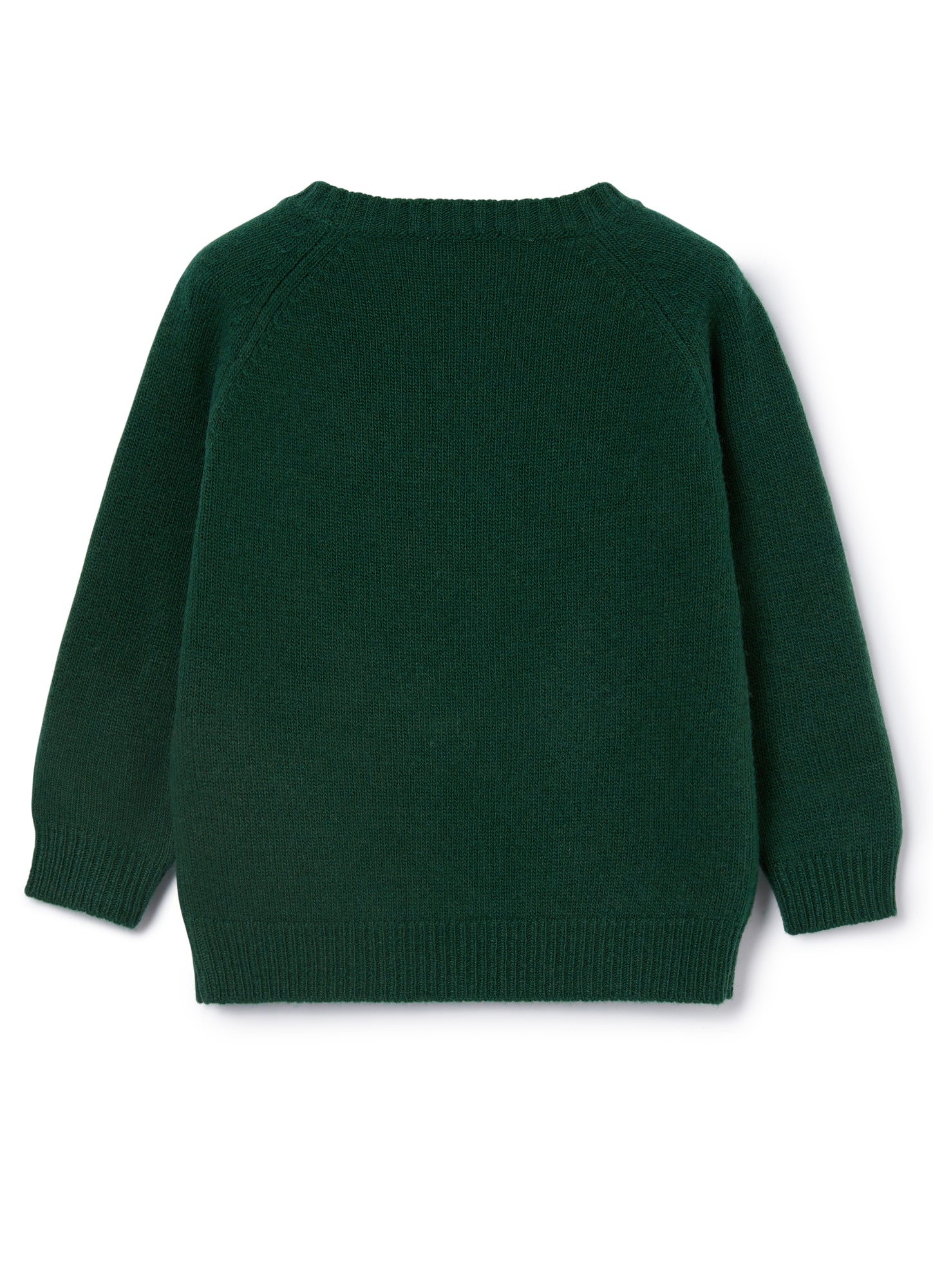 Baby Wool Sweater with Teddy Bear | Fir Green/Blue