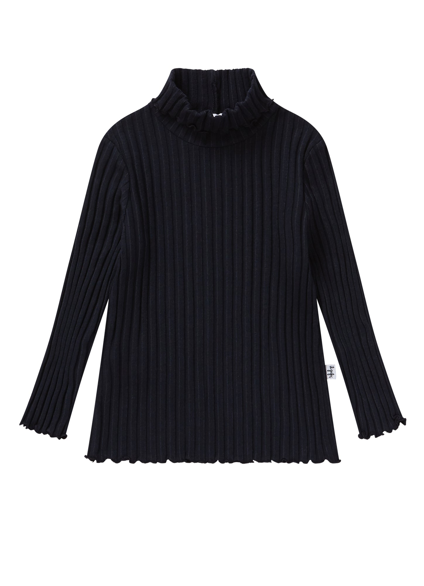 Ribbed Jersey Turtleneck | Blue