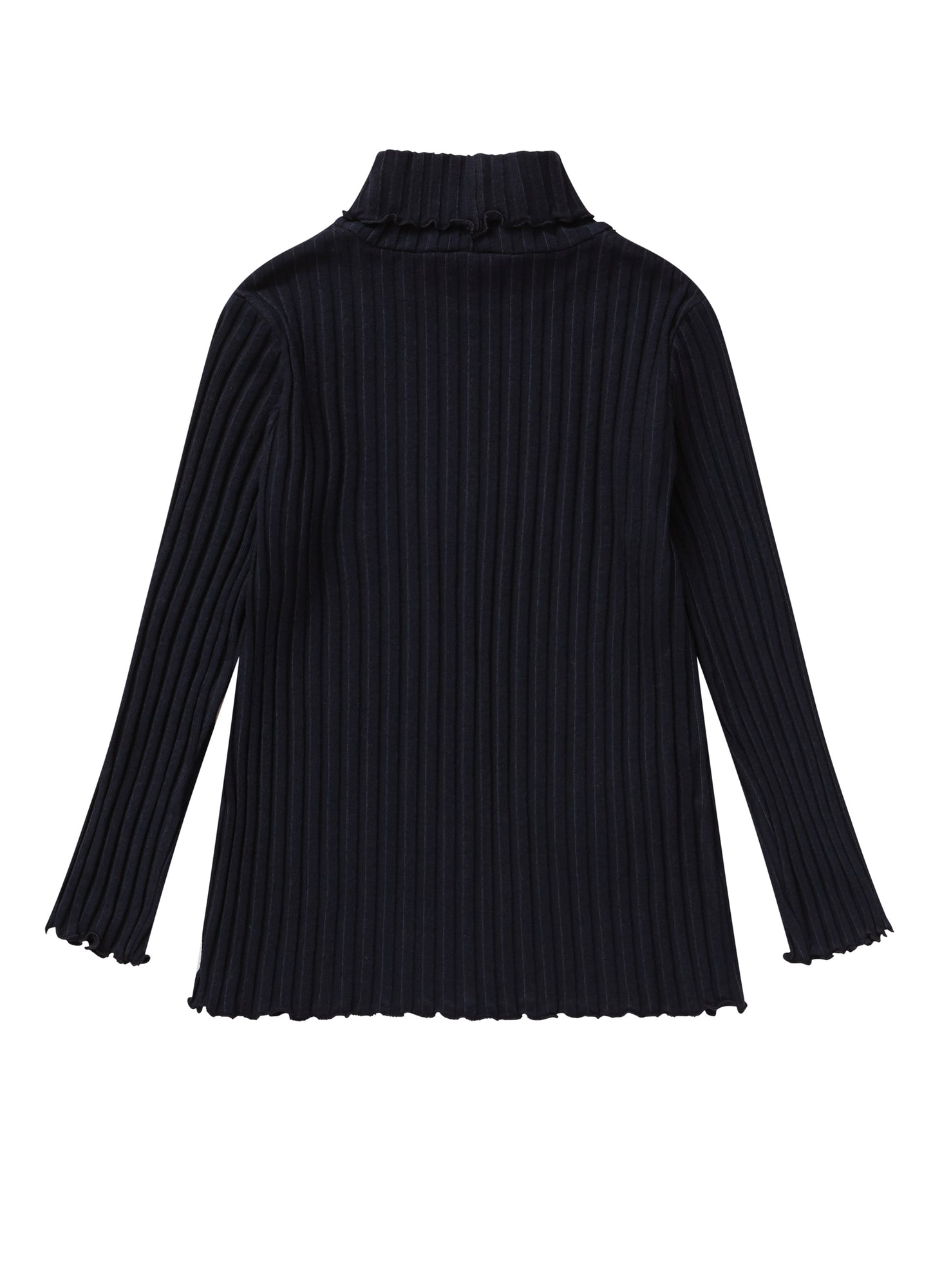 Ribbed Jersey Turtleneck | Blue