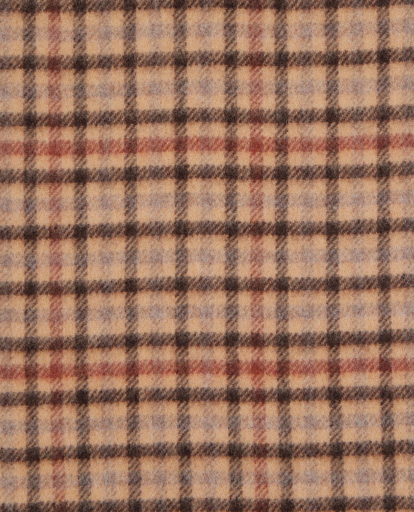 Checked Wool Scarf | Women | Beige x Brown x Black