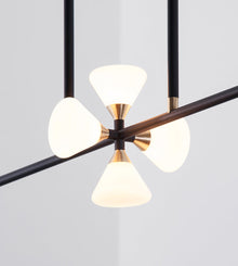 Chandelier - 6 Lights (Matte black/Brushed brass)