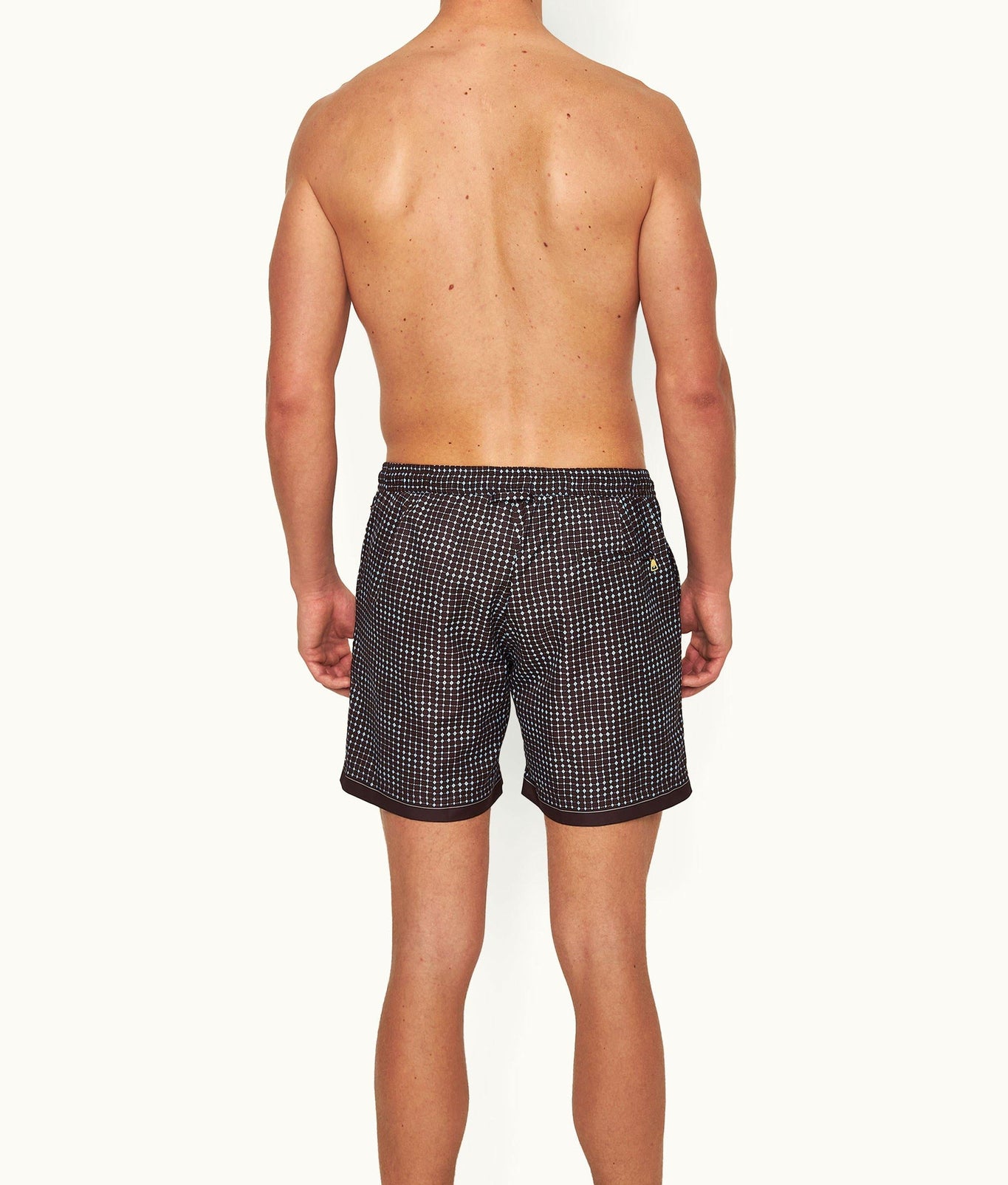 Bulldog Drawcord Print Mid-Length Drawcord Swim Shorts | Truffle/Light Sky Pool