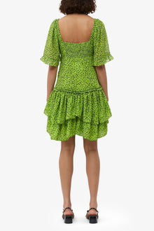 Chiffon Mini Dress | Tender Shoots