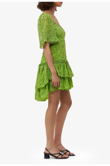 Chiffon Mini Dress | Tender Shoots