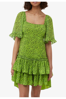 Chiffon Mini Dress | Tender Shoots