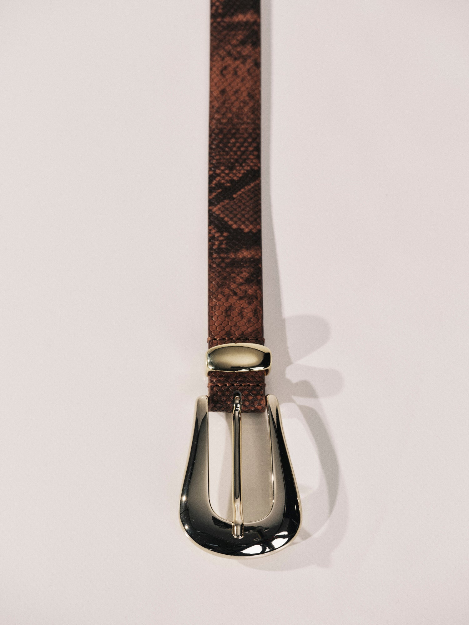 Colette Belt | Brown Python & Pale Gold