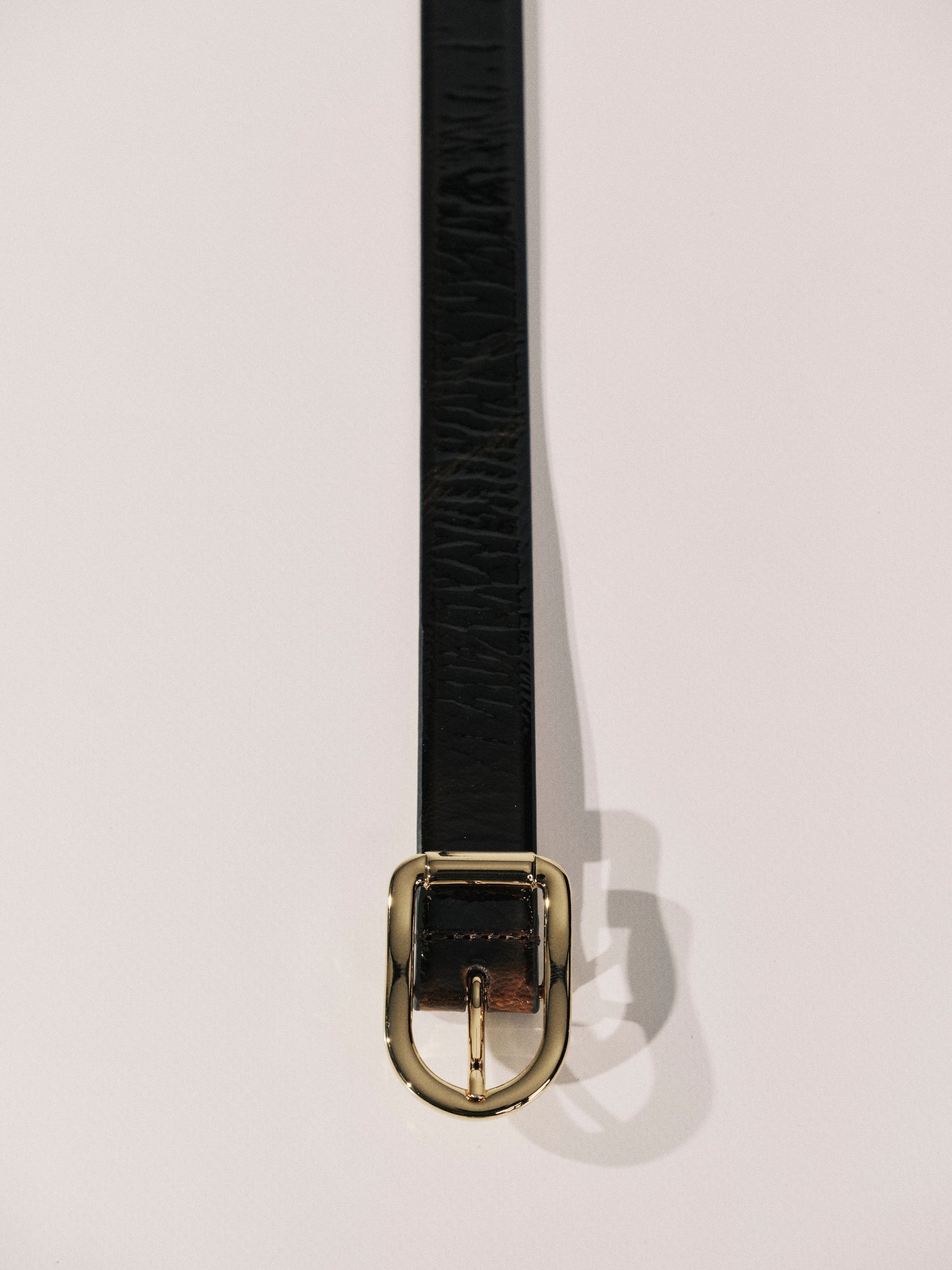Mija Belt | Tortoise & 24K Gold