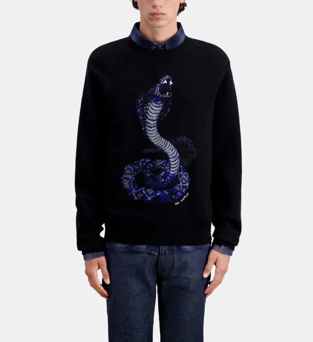 Cobra Sweater In Wool Blend | Men | Black