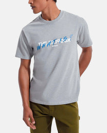 Gray Cotton T-Shirt With 