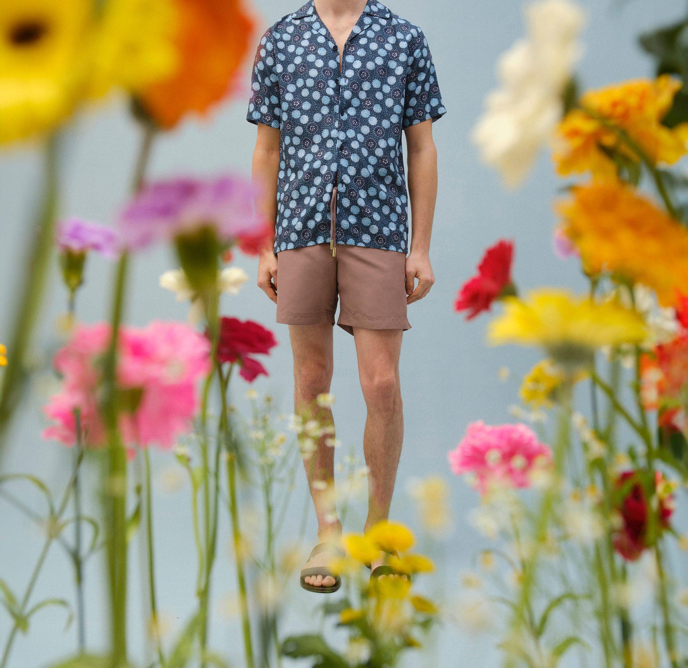 Hibbert Daisy Print Classic Fit Capri Collar Shirt | Springfield Blue
