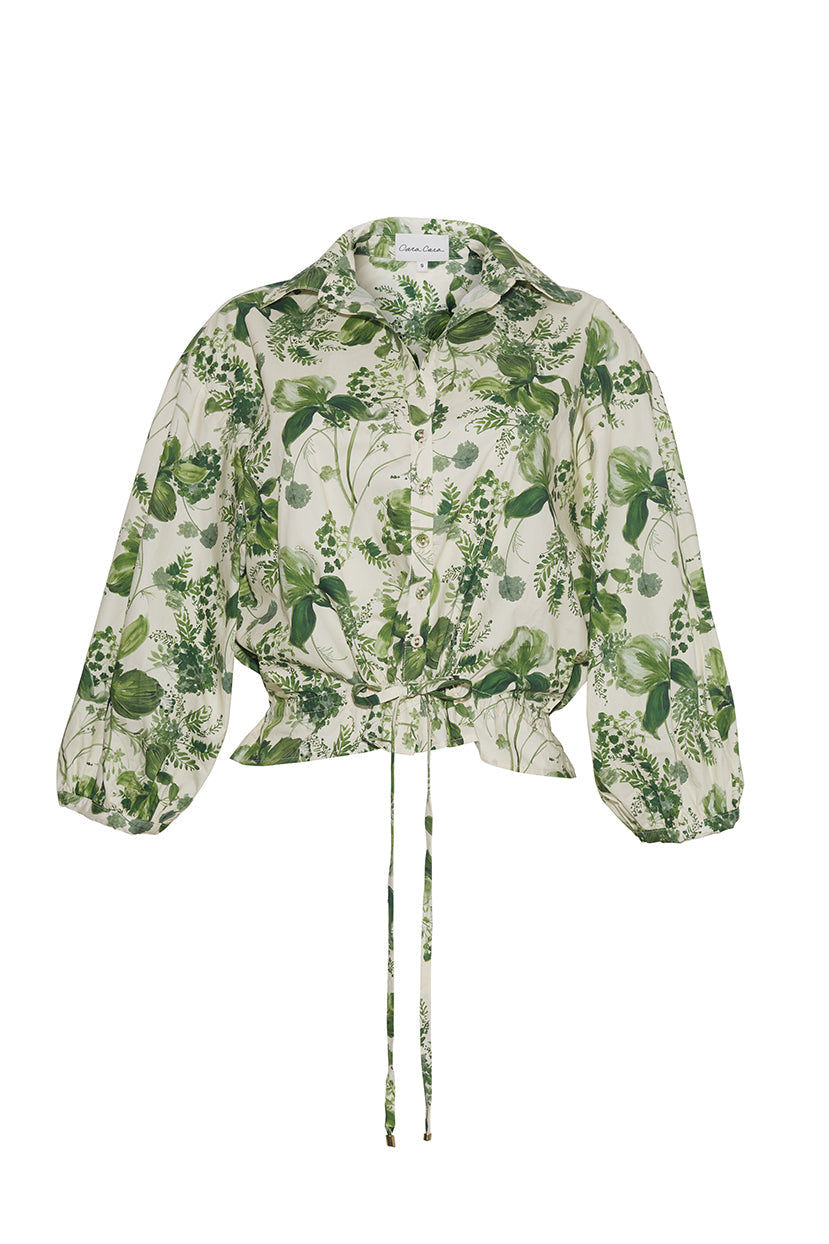 Hutton Top | Olive Hanging Orchids