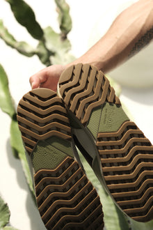 Unisex | Joshua Cactus | Sage White Brown