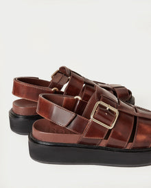 Color: Brown