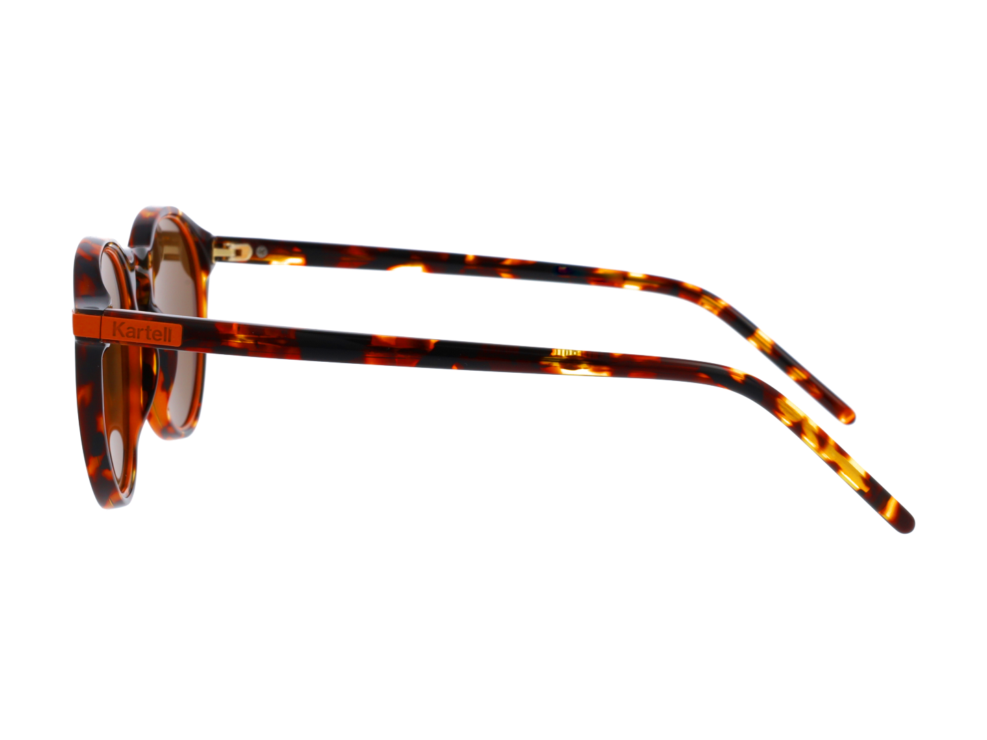 Womens | Eyeliner Round Sunglasses | Brown Lens | Tortoise