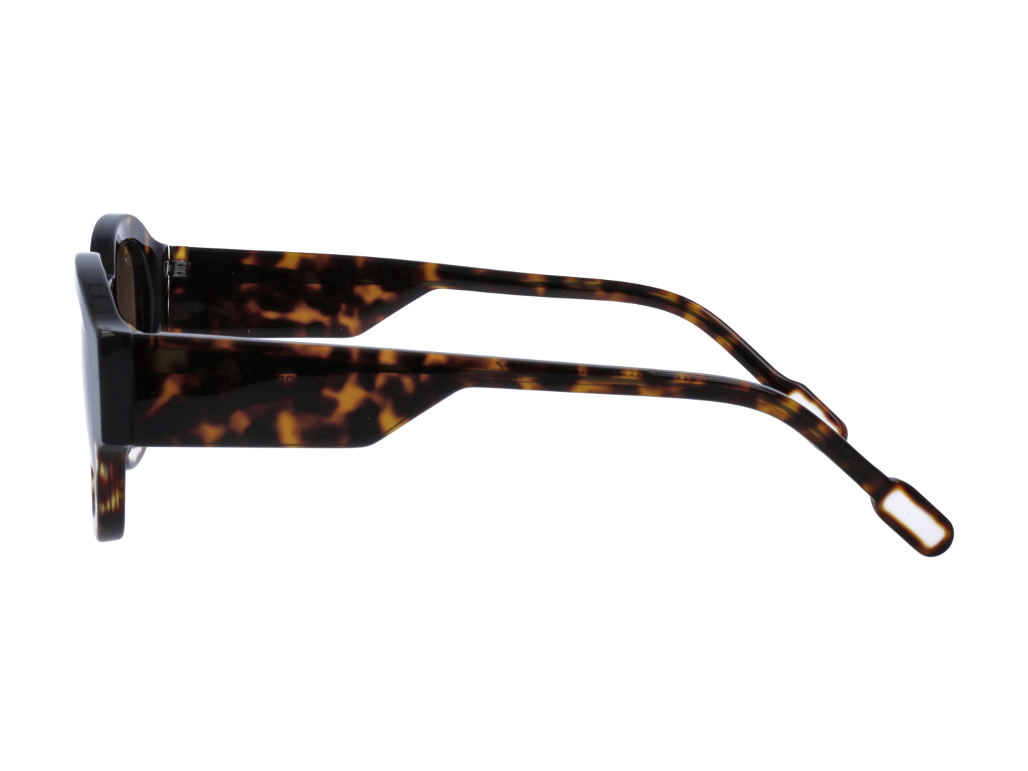 Unisex | Borderino Round Sunglasses | Brown Lens | Tortoise