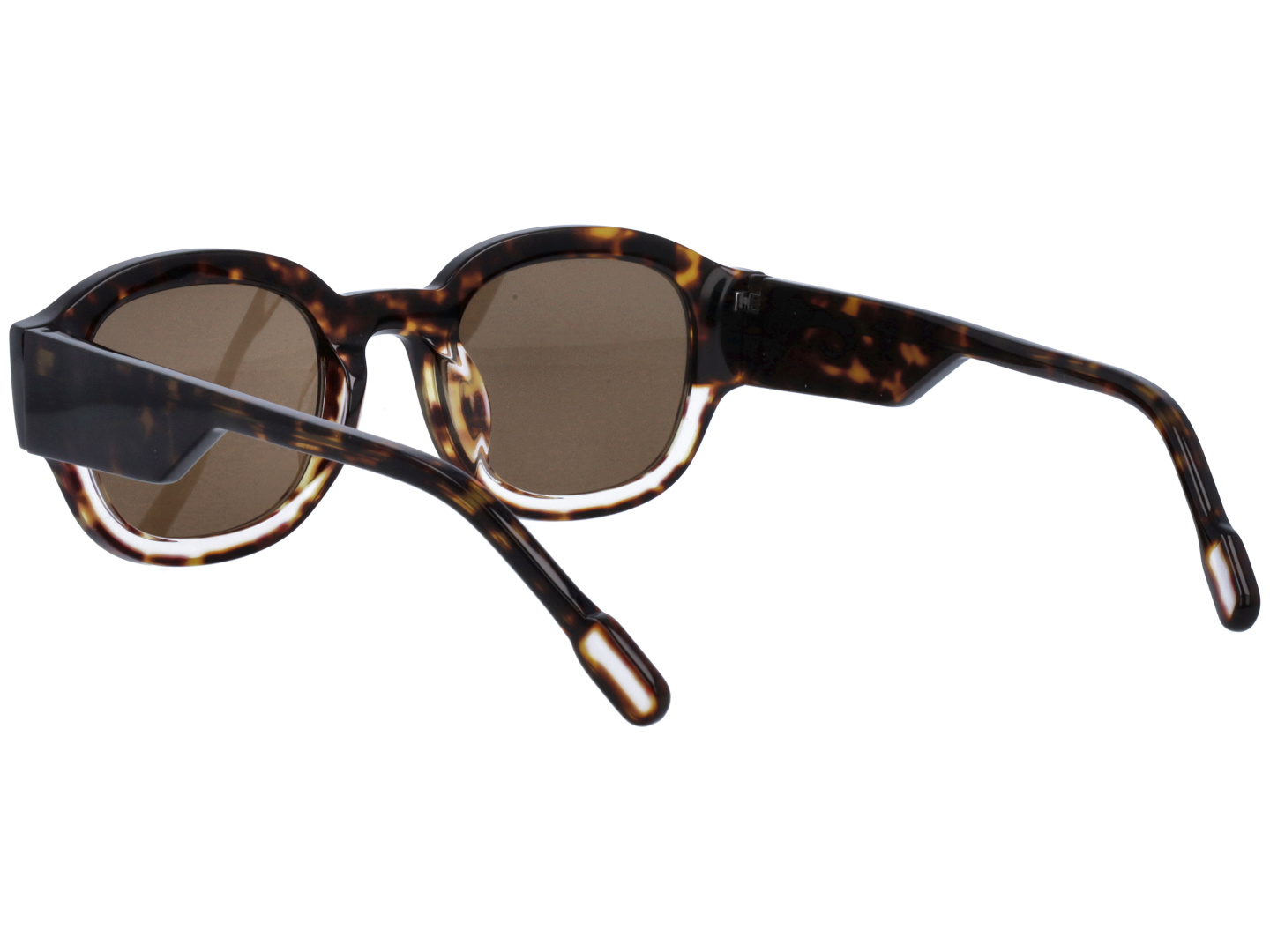 Unisex | Borderino Round Sunglasses | Brown Lens | Tortoise