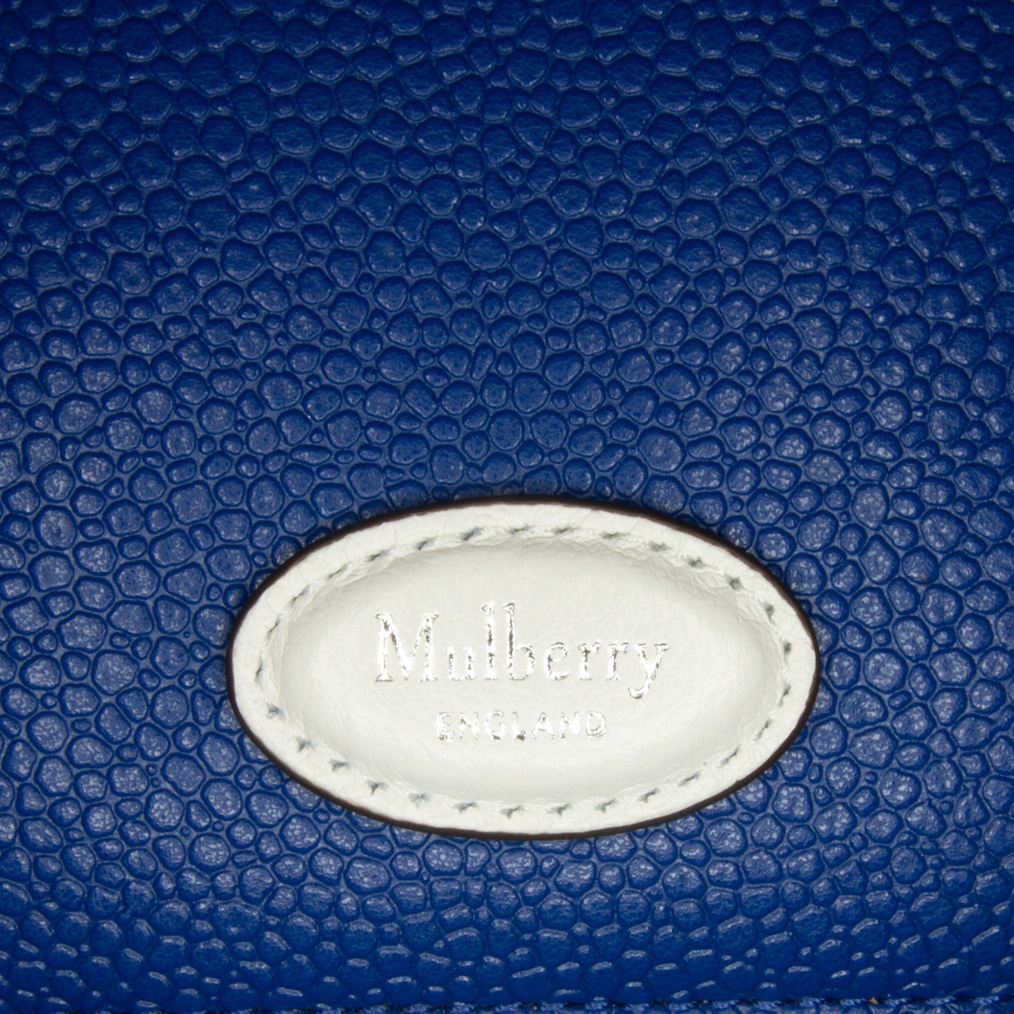 Mulberry | Pre-Owned X Richard Malone Zip Clutch | Blue