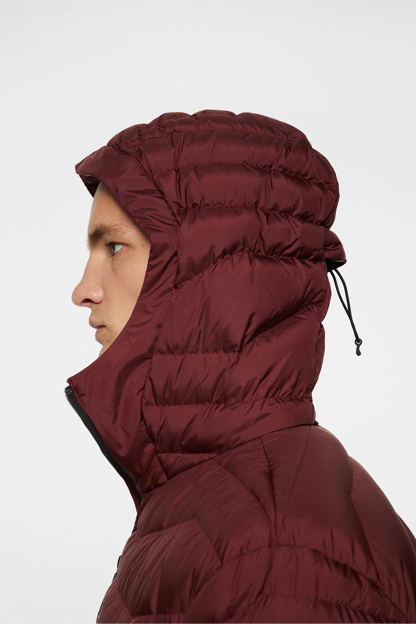 Men | Cliff Light Down Hood | Cabernet
