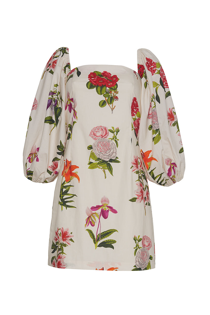 Montauk Dress | Egret Camellia Flora