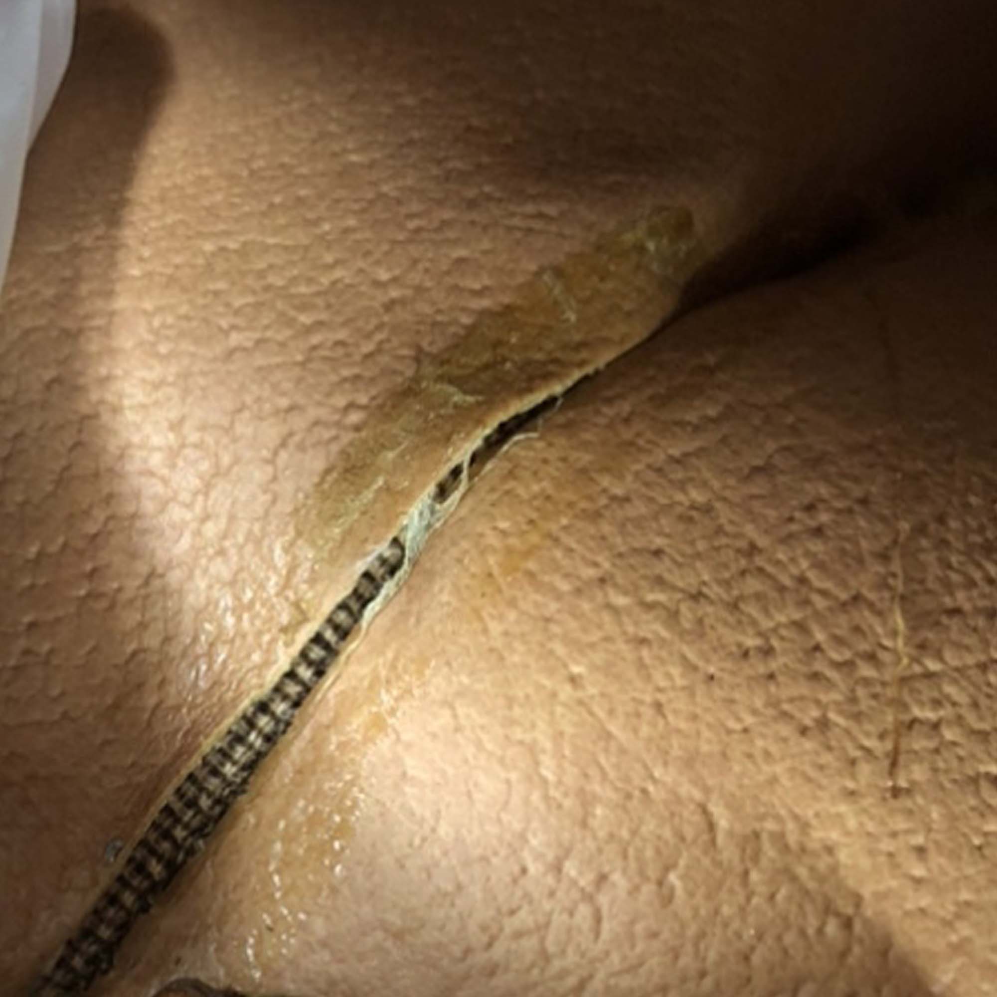 Celine | Pre-Owned Macadam Coated Canvas Handbag | Brown