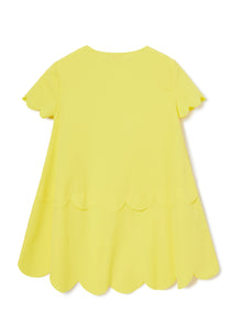 A-Line Dress | Polline