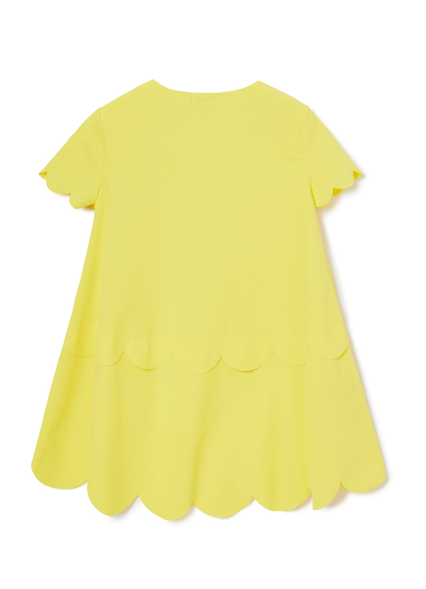 A-Line Dress | Polline