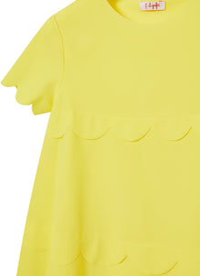 A-Line Dress | Polline