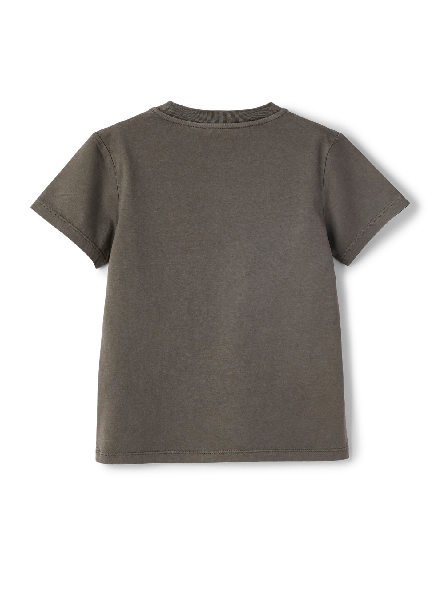 Jersey T-Shirt with Kauai Print | Green Oregano