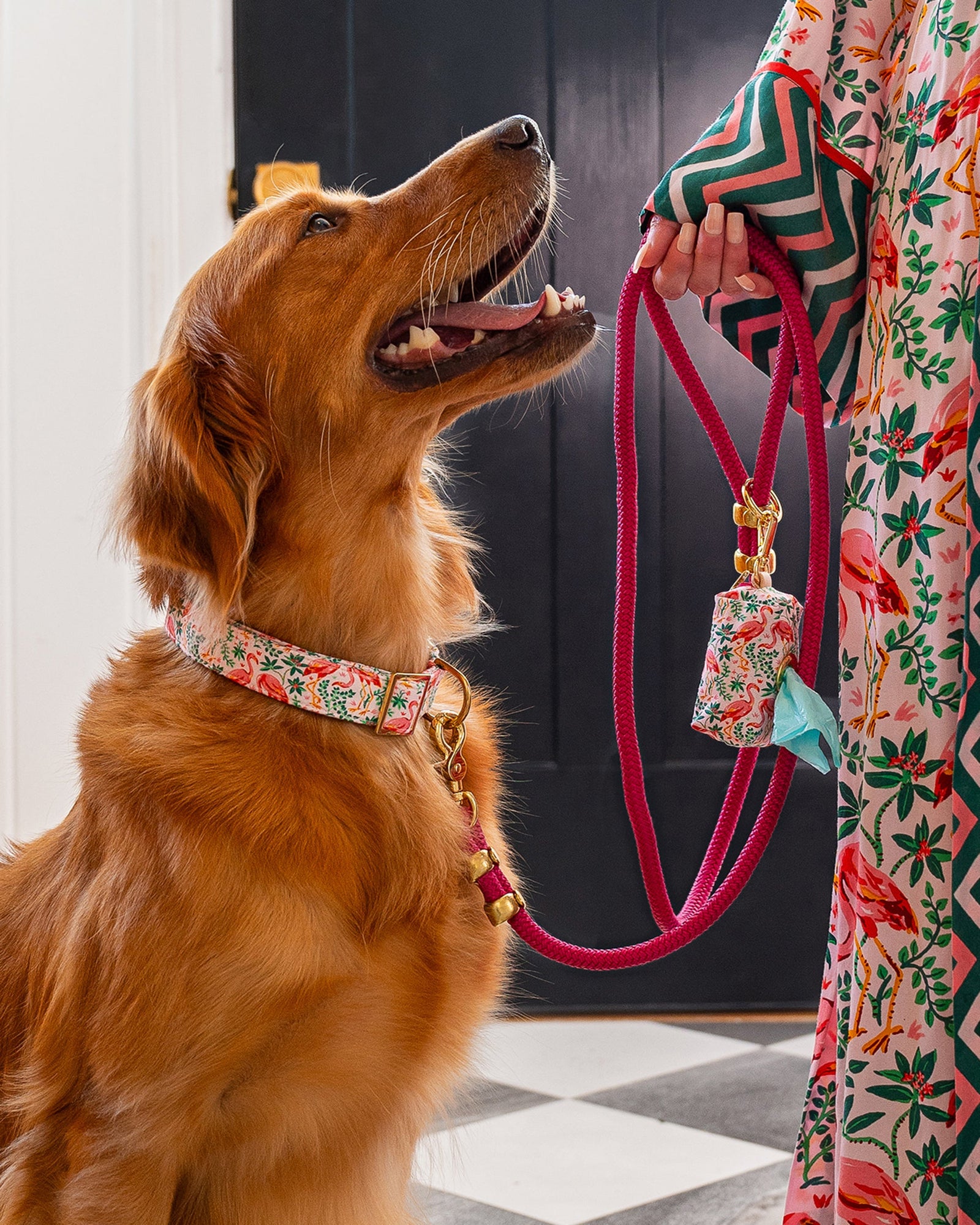 PF x The Foggy Dog - Marine Rope Dog Leash - Hot Pink - Printfresh