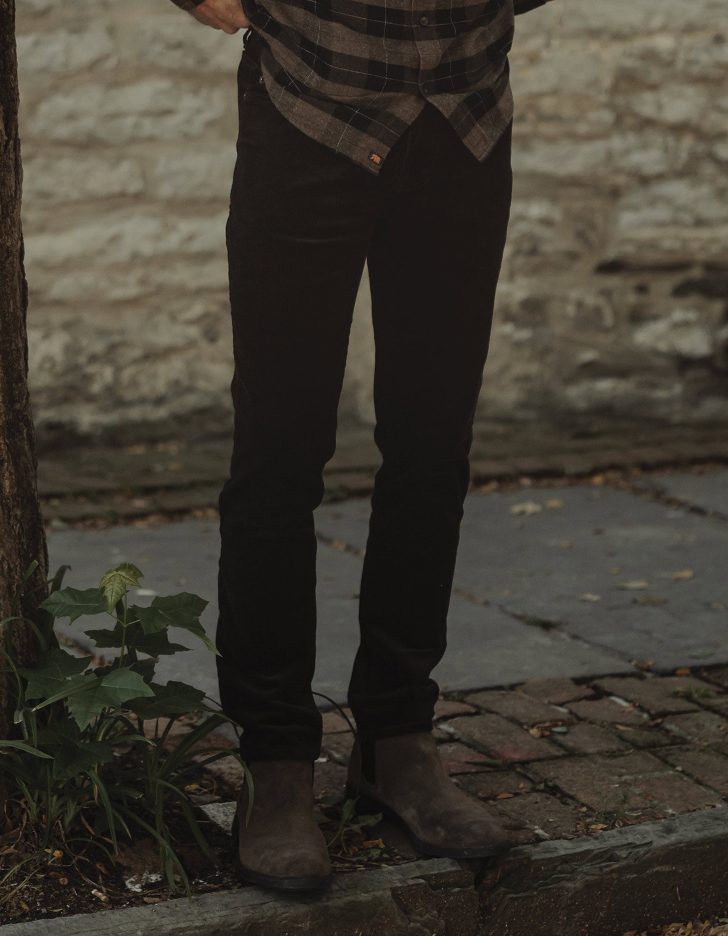 Men | Comfort Cord Pant | Dark Brown