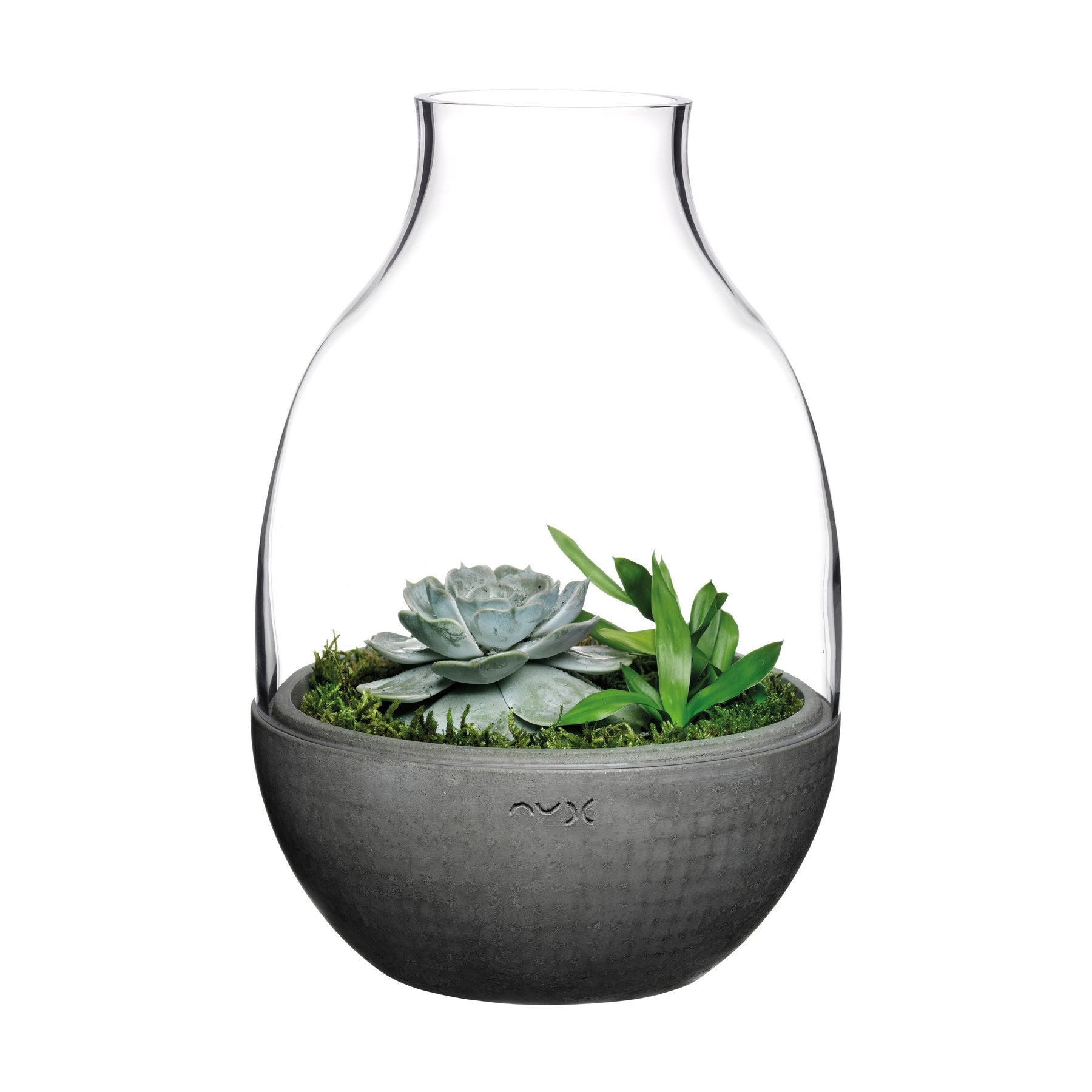 Eden Terrarium With Moulded Concrete Base | Clear Crystal/Conrete