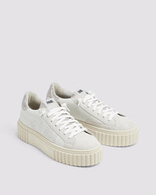 Women | Creeper Silver Dust Sneaker | White