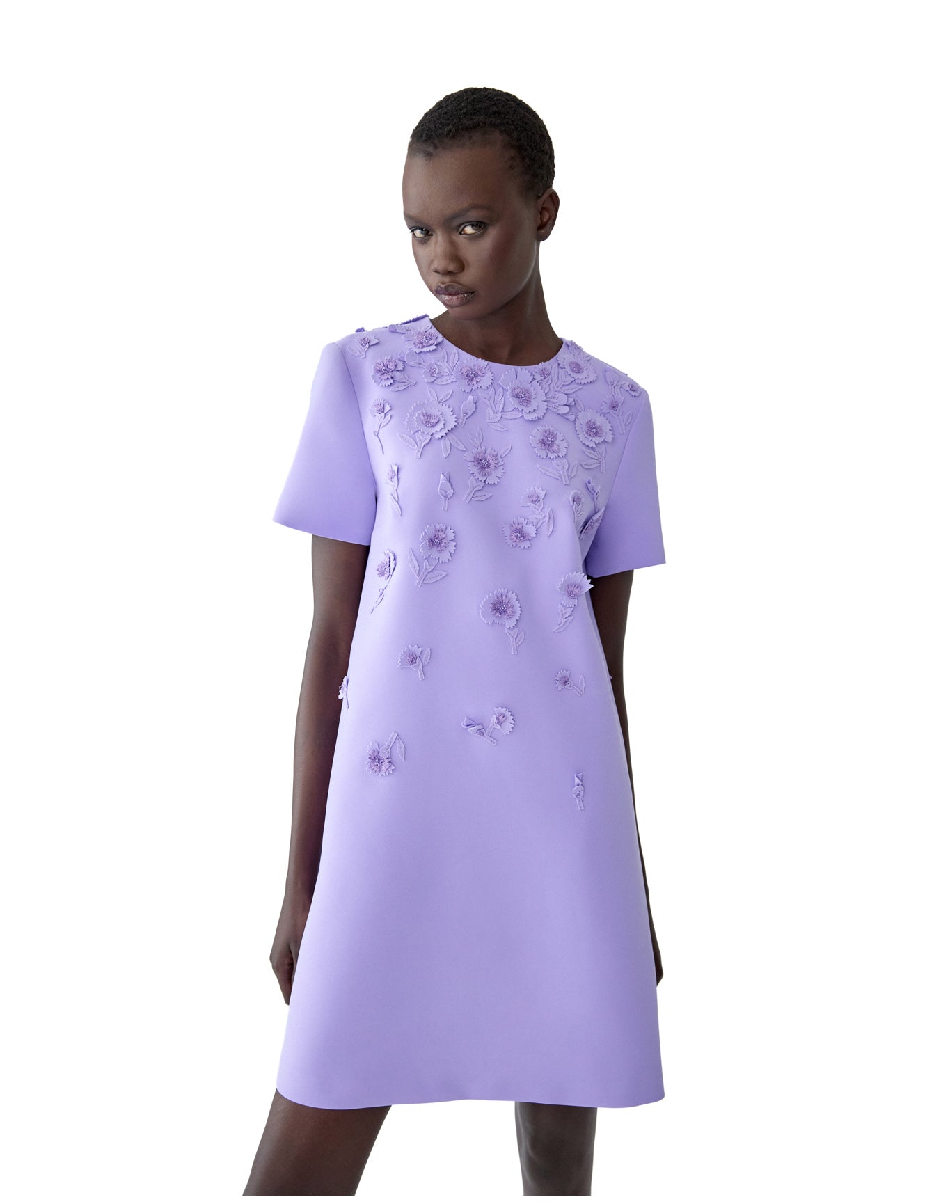 Embroidered Short Sleeve Crewneck Shift Dress | Violeta