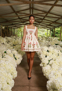 Secreto-Barbara-Canna-Mini-Dress-19254-2.jpg