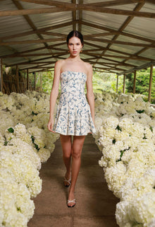 Secreto-Caudal-Gloriosa-Mini-Dress-19225-2.jpg