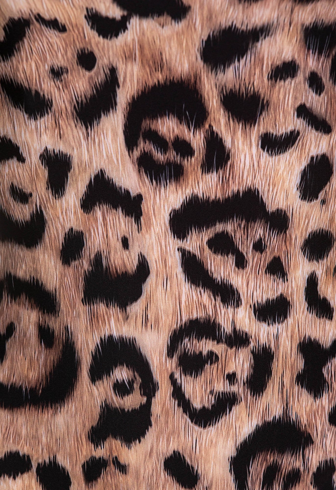 Secreto-Gema-Jaguar-One-piece-19272-8.jpg