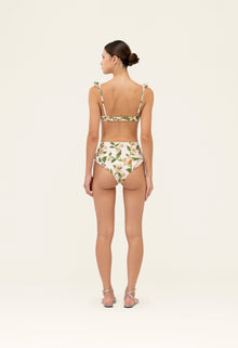 Secreto-Jengibre-Orquidea-Bikini-bottom-19263-4.jpg