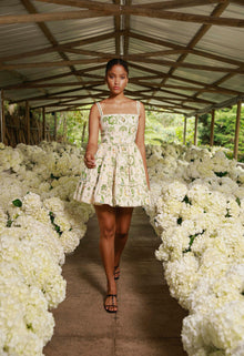 Secreto-Lima-Wild-Mini-Dress-19208-2.jpg