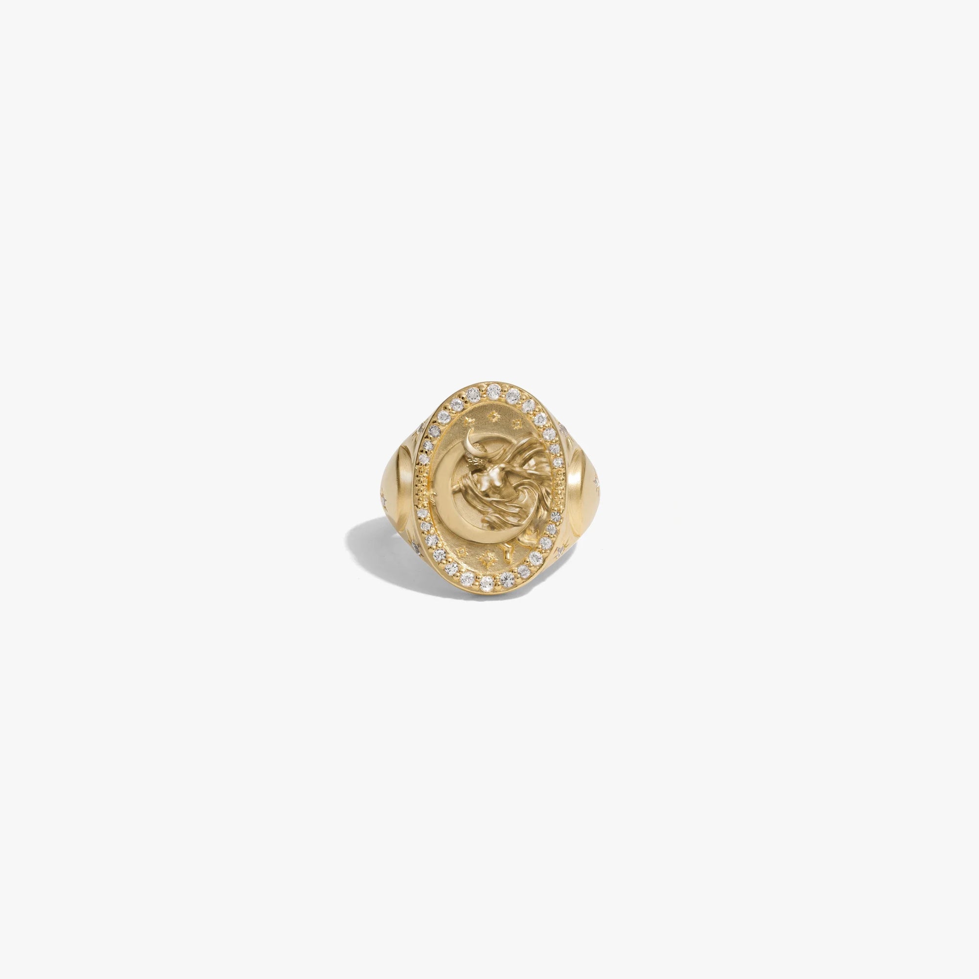 Awe Inspired Rings 14K Yellow Gold Vermeil / 5 Special Edition Selene Ring