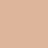 Cement color swatch | Swatch | Exclude