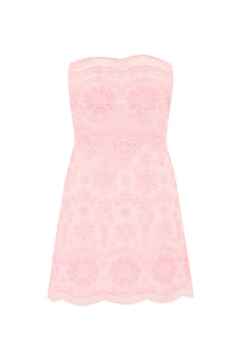 Vailia Organza Eyelet Mini Dress | Pale Pink