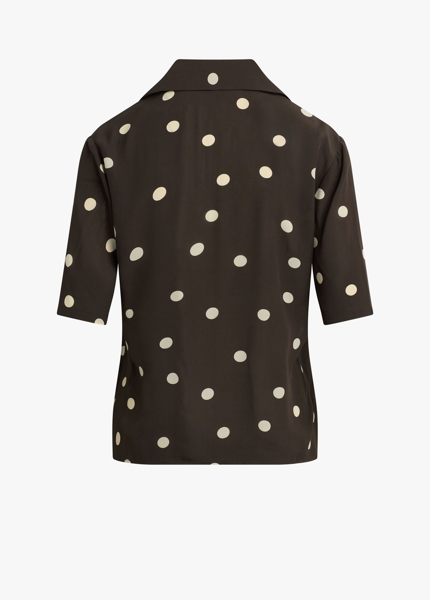 espresso polka dot