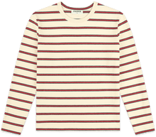 firecracker stripe